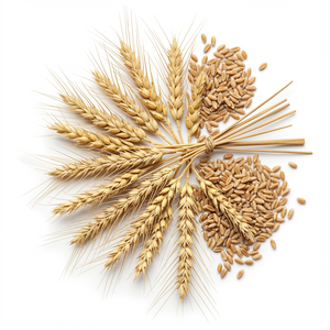 Wheat & Barley Cleansing Jelly